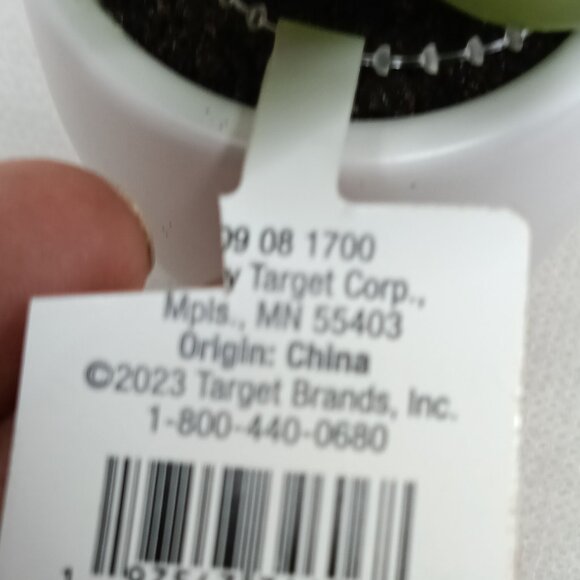 3.5 '' Mini Tabletop Succulent Artificial Plant - Threshold, new - Picture 3 of 8